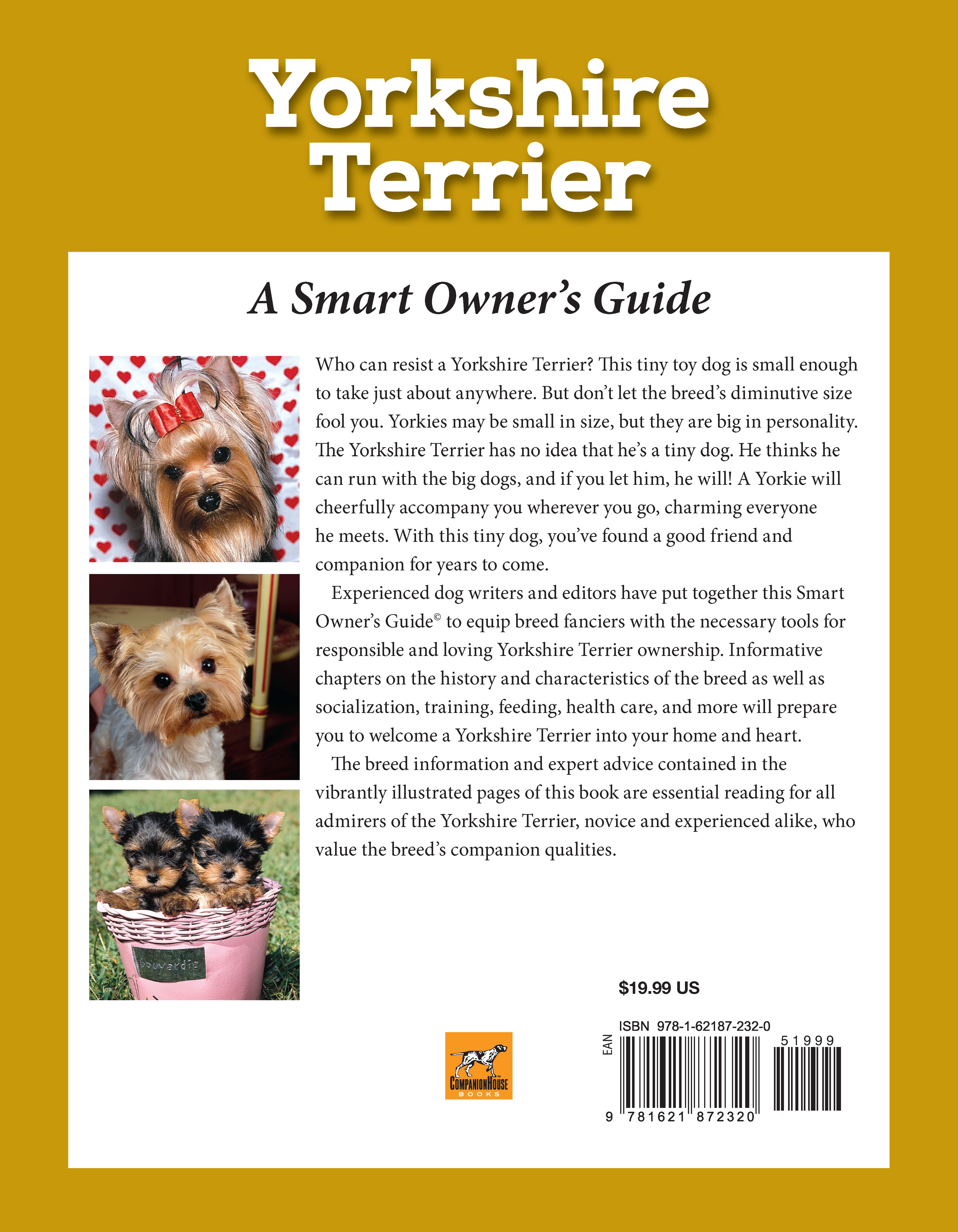 Yorkshire Terrier