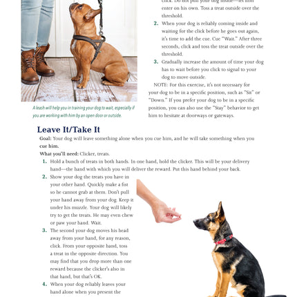 Dog Behavior Problem Solver