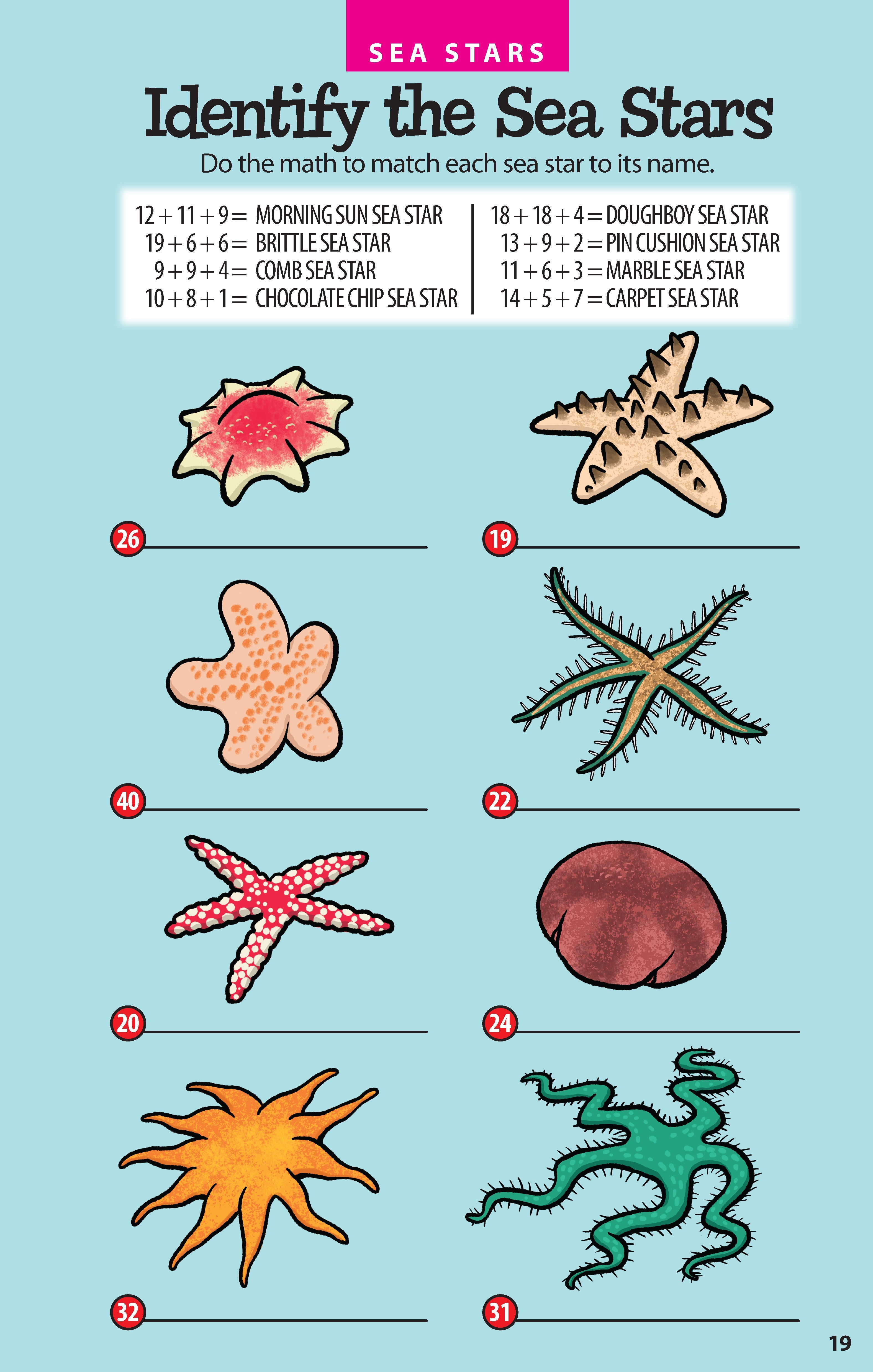 Awesome Undersea Activities for Kids