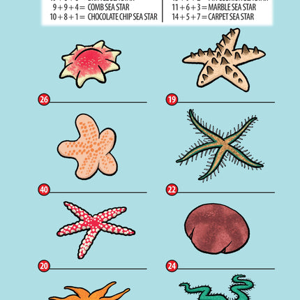 Awesome Undersea Activities for Kids