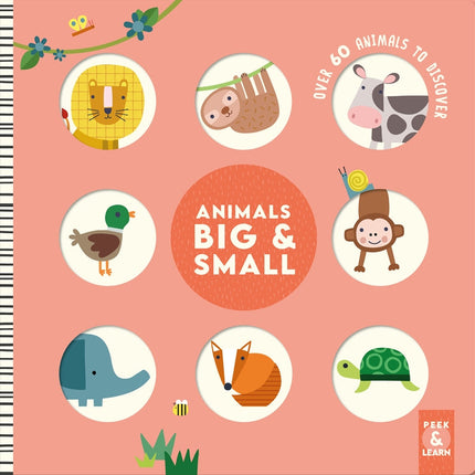 Animals Big & Small