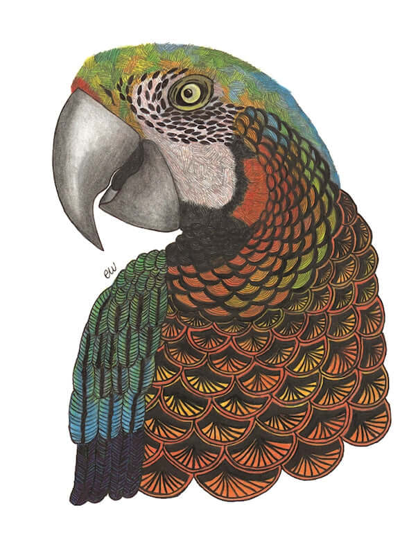 TangleEasy Lined Journal Parrot