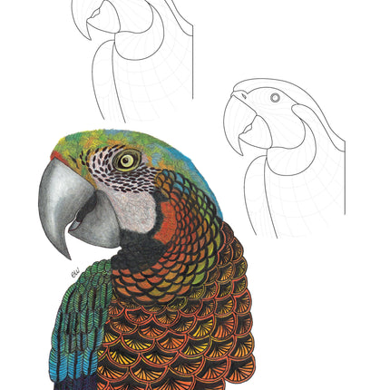 TangleEasy Lined Journal Parrot