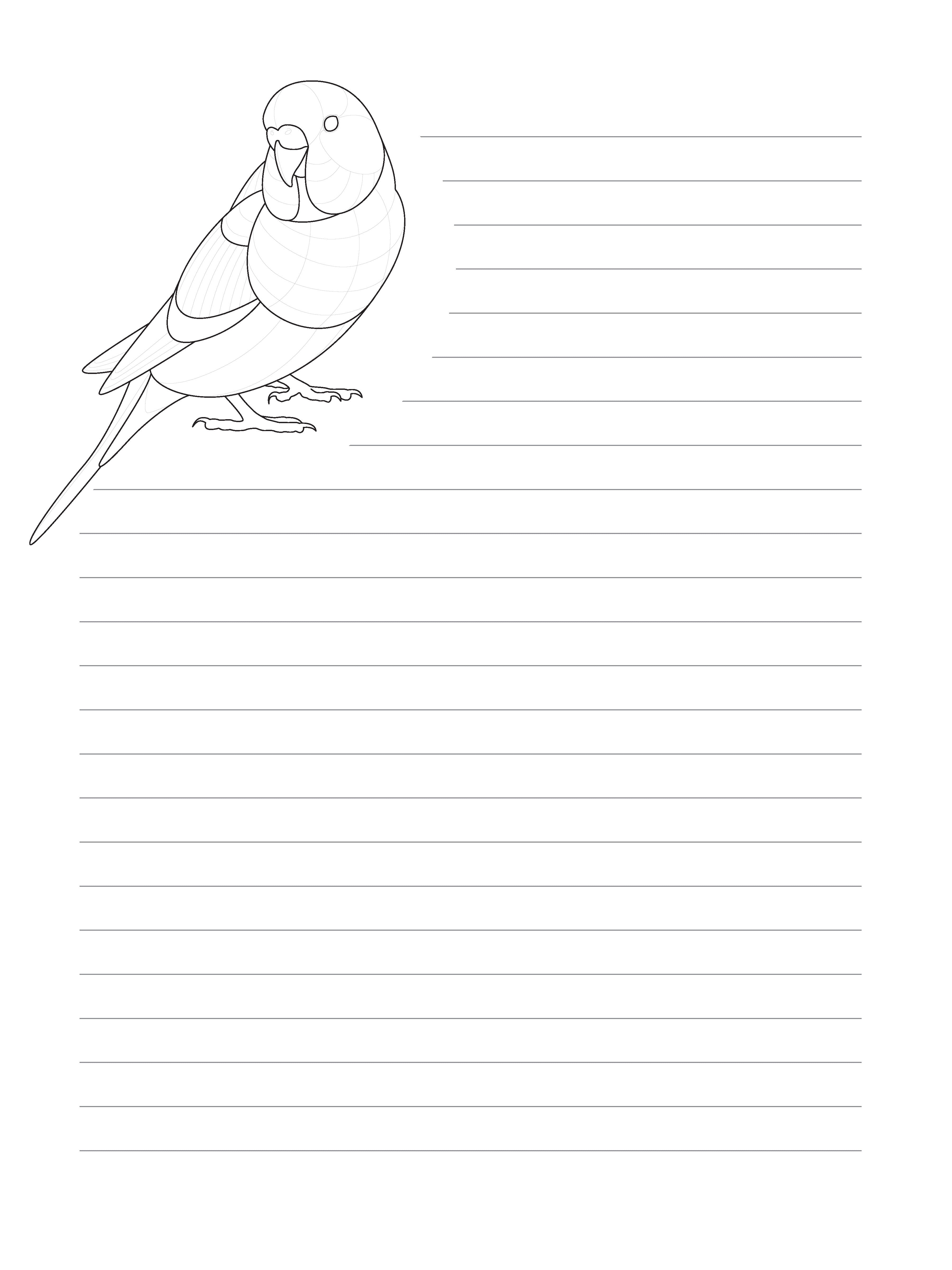 TangleEasy Lined Journal Parrot