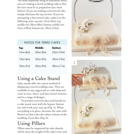 Cake Decorating Basics