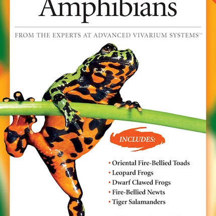 Popular Amphibians