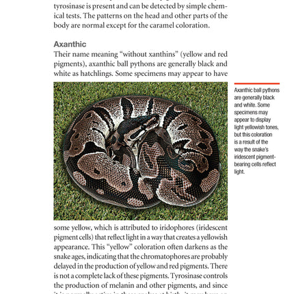 The Ball Python Manual