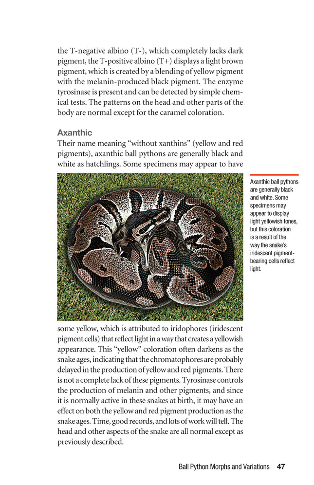 The Ball Python Manual