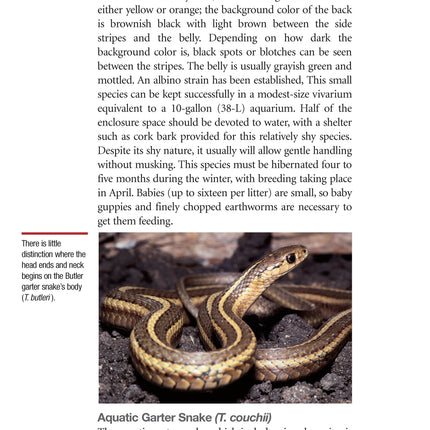 Garter Snakes and Water Snakes