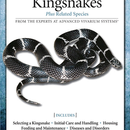 Common Kingsnakes