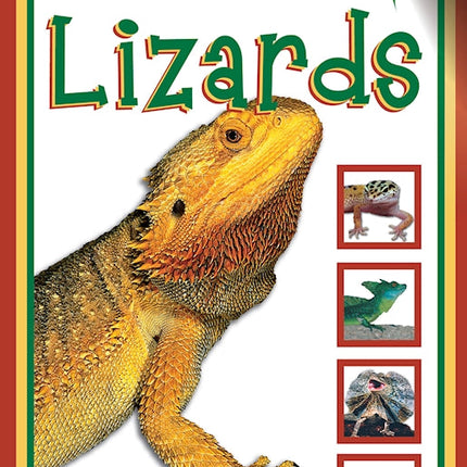 Lizards