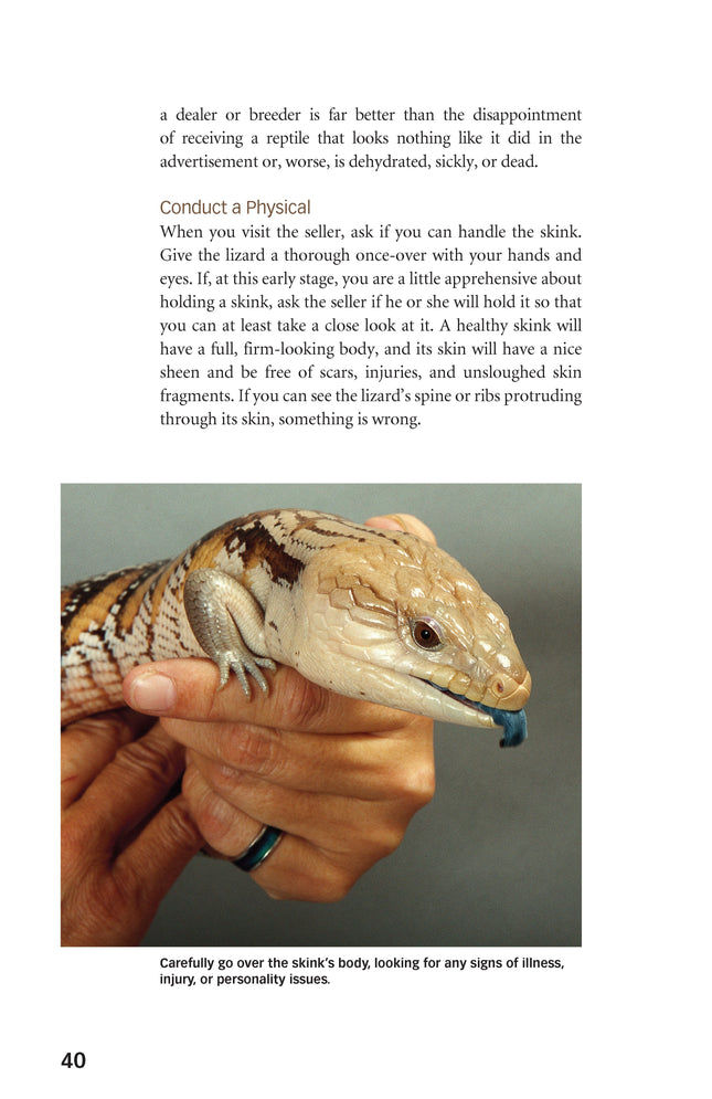 Blue-Tongued Skinks