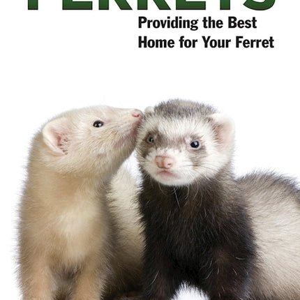 Ferrets