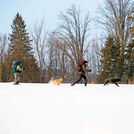 Winter Backpacking