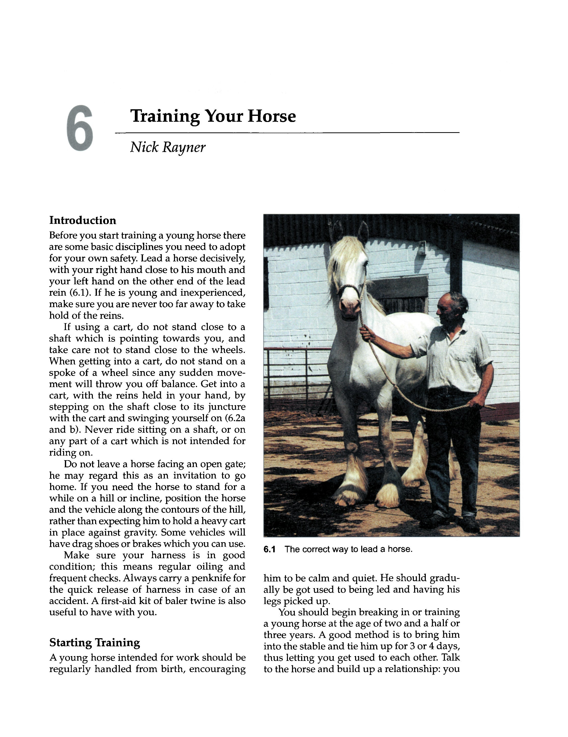 The Working Horse Manual