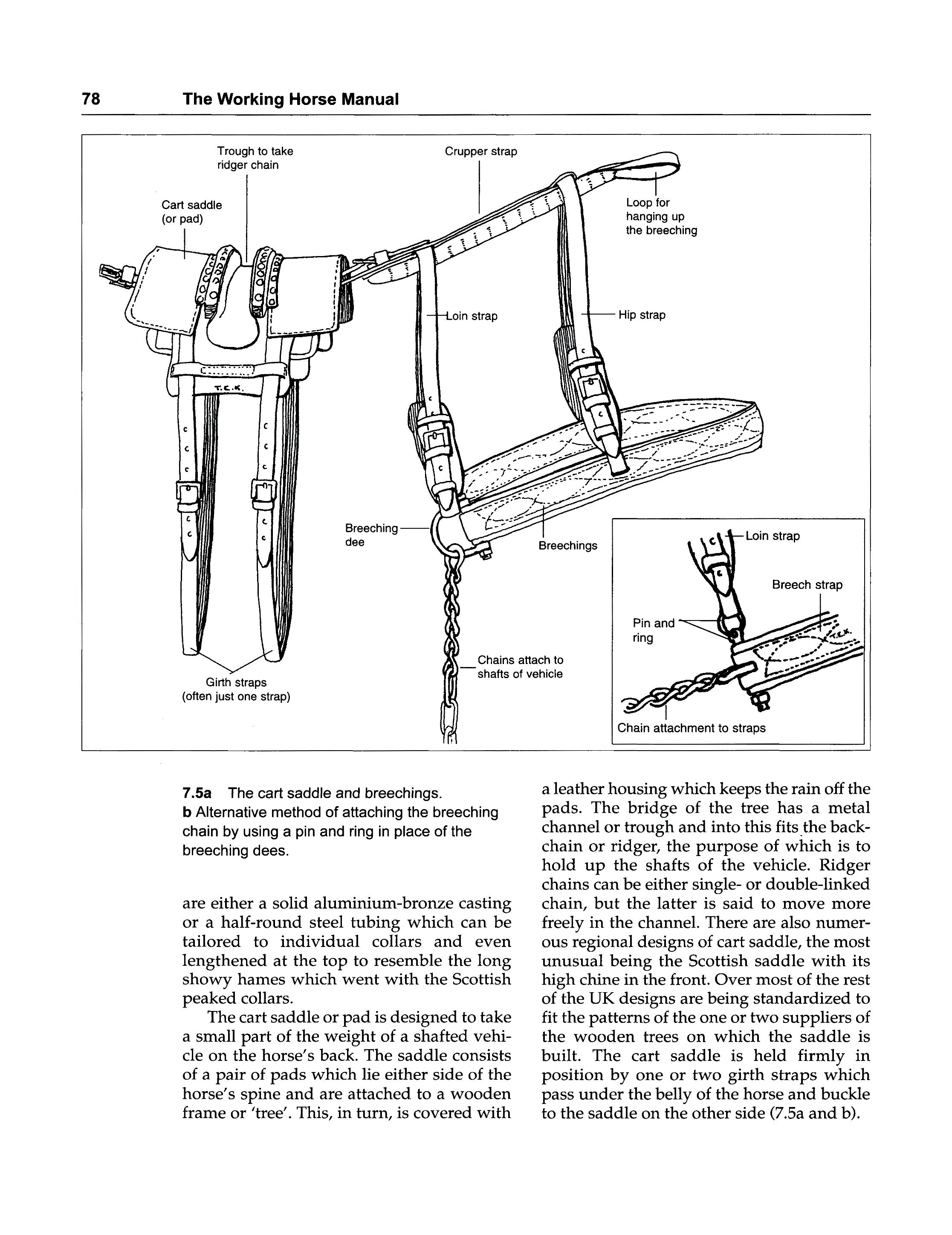 The Working Horse Manual