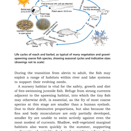 River Habitats for Coarse Fish