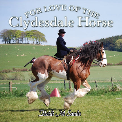 For Love of the Clydesdale Horse