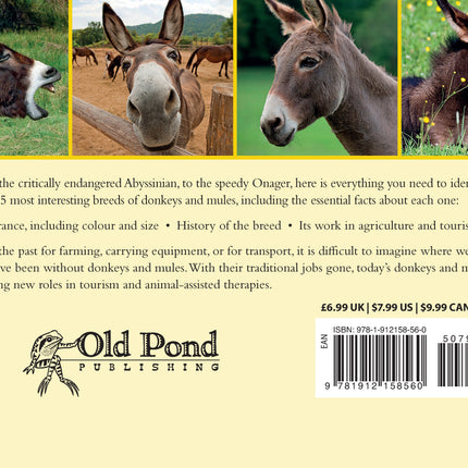 Know Your Donkeys & Mules