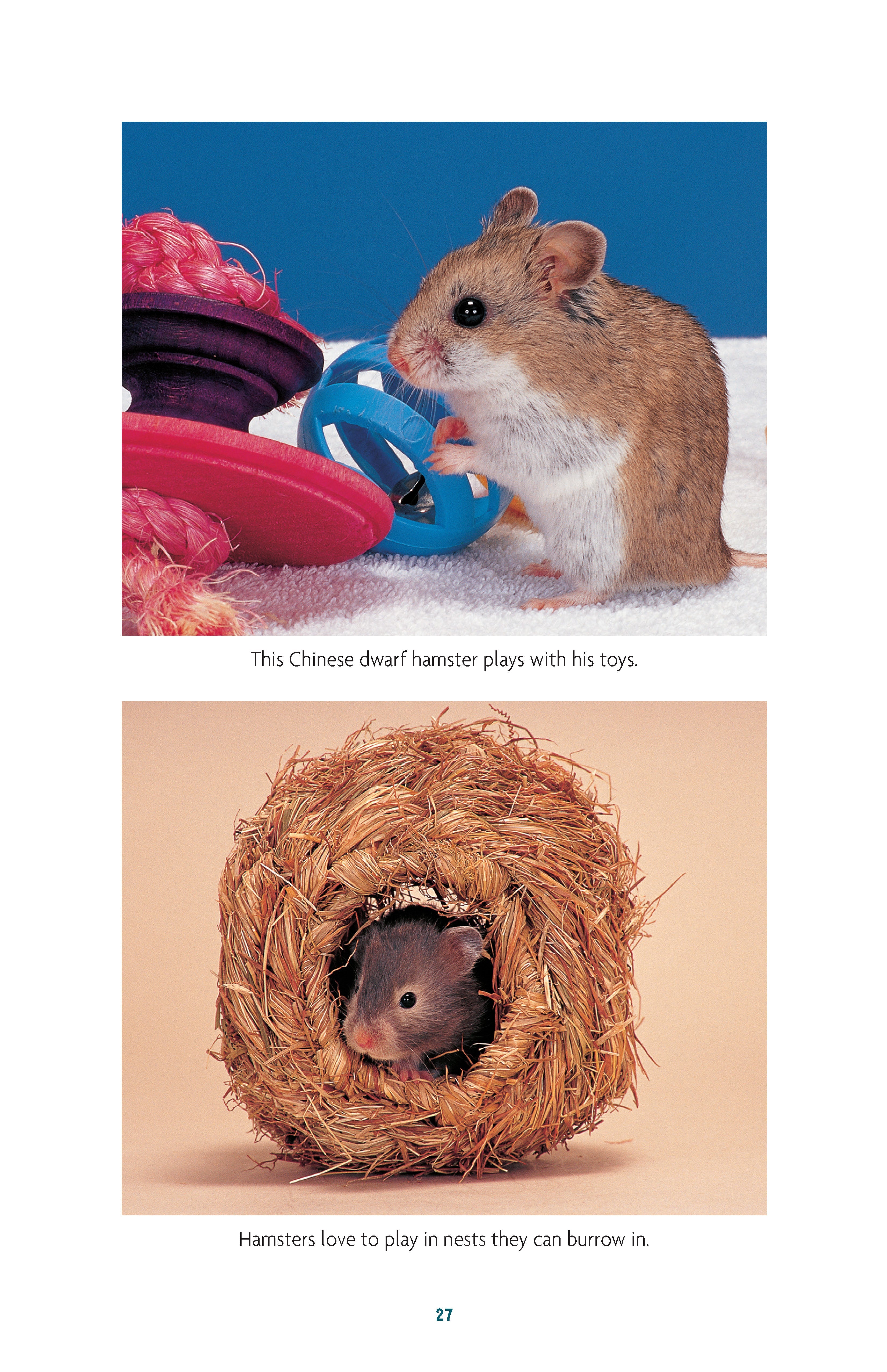 Complete Care Made Easy, Hamsters