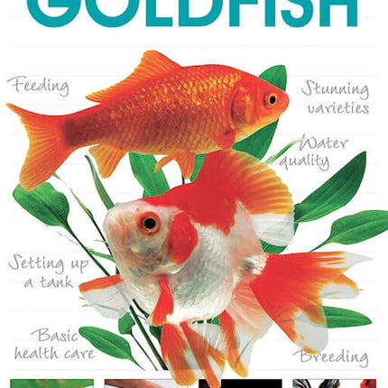 Goldfish