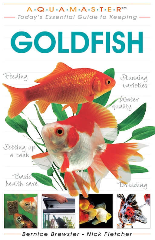 Goldfish