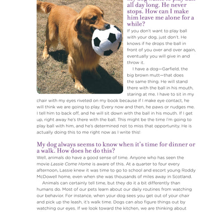 Marc Morrone's Ask the Dog Keeper