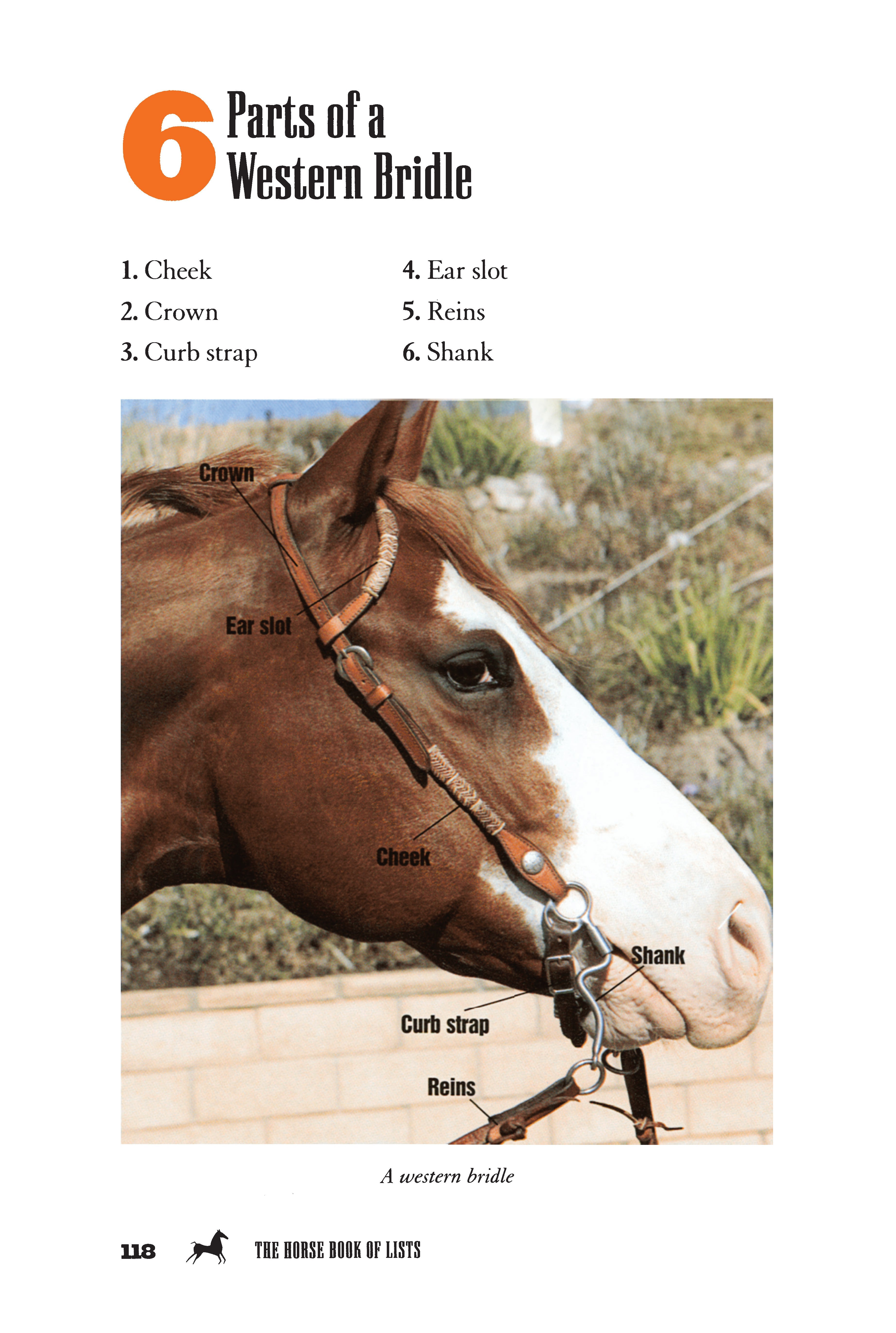 The Horse Book of Lists