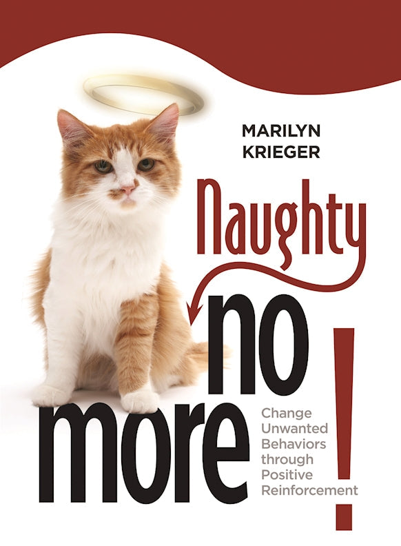 Naughty No More!