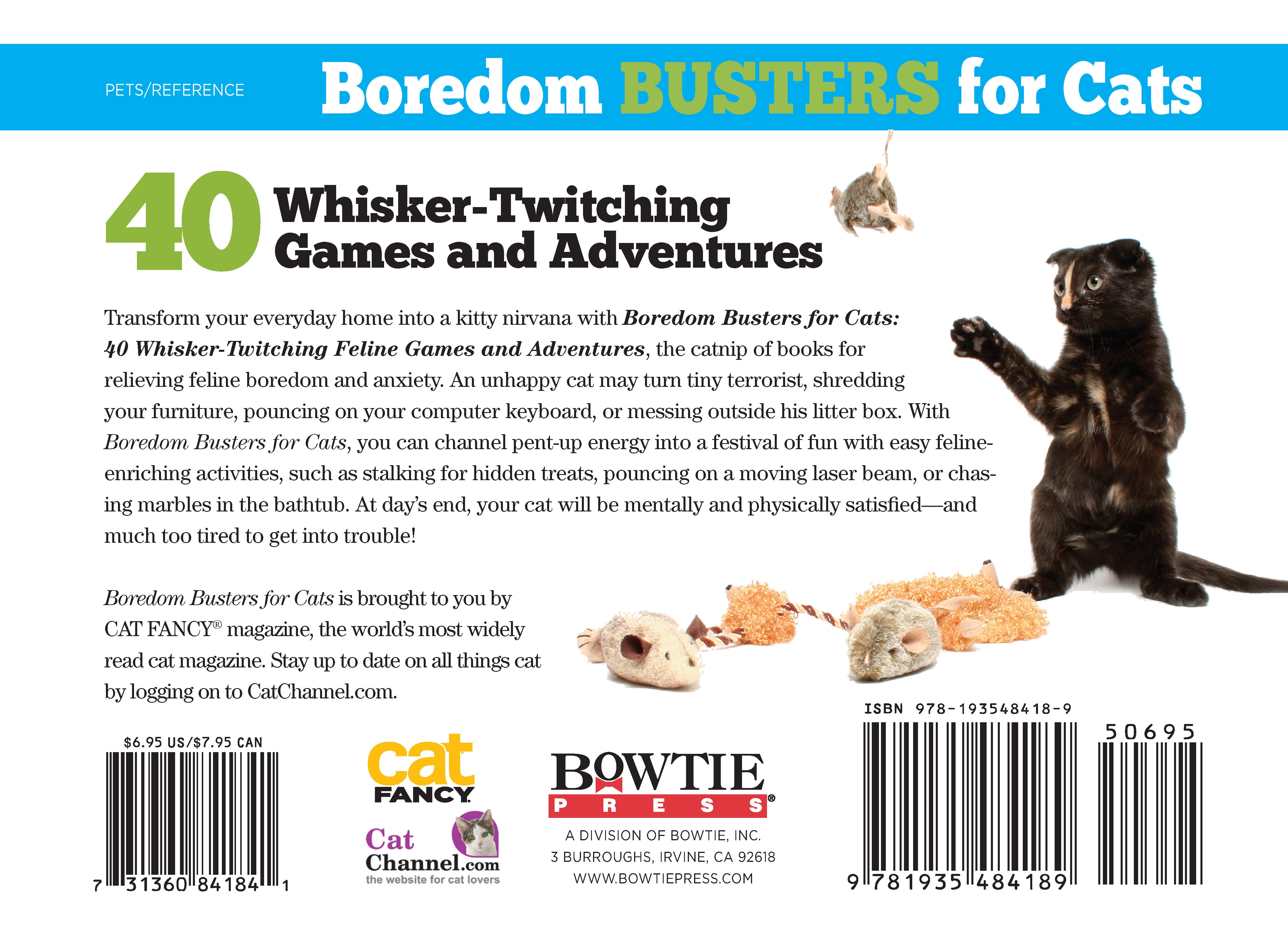 Boredom Busters for Cats