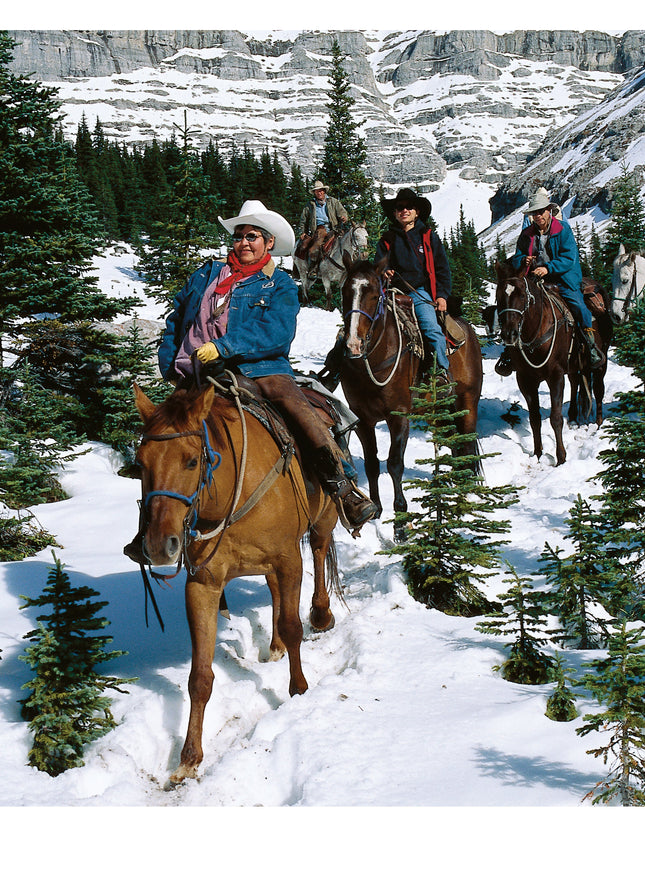 Trail Riding