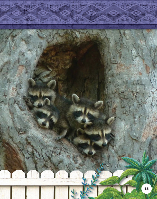 Kids' Backyard Safari: Raccoons