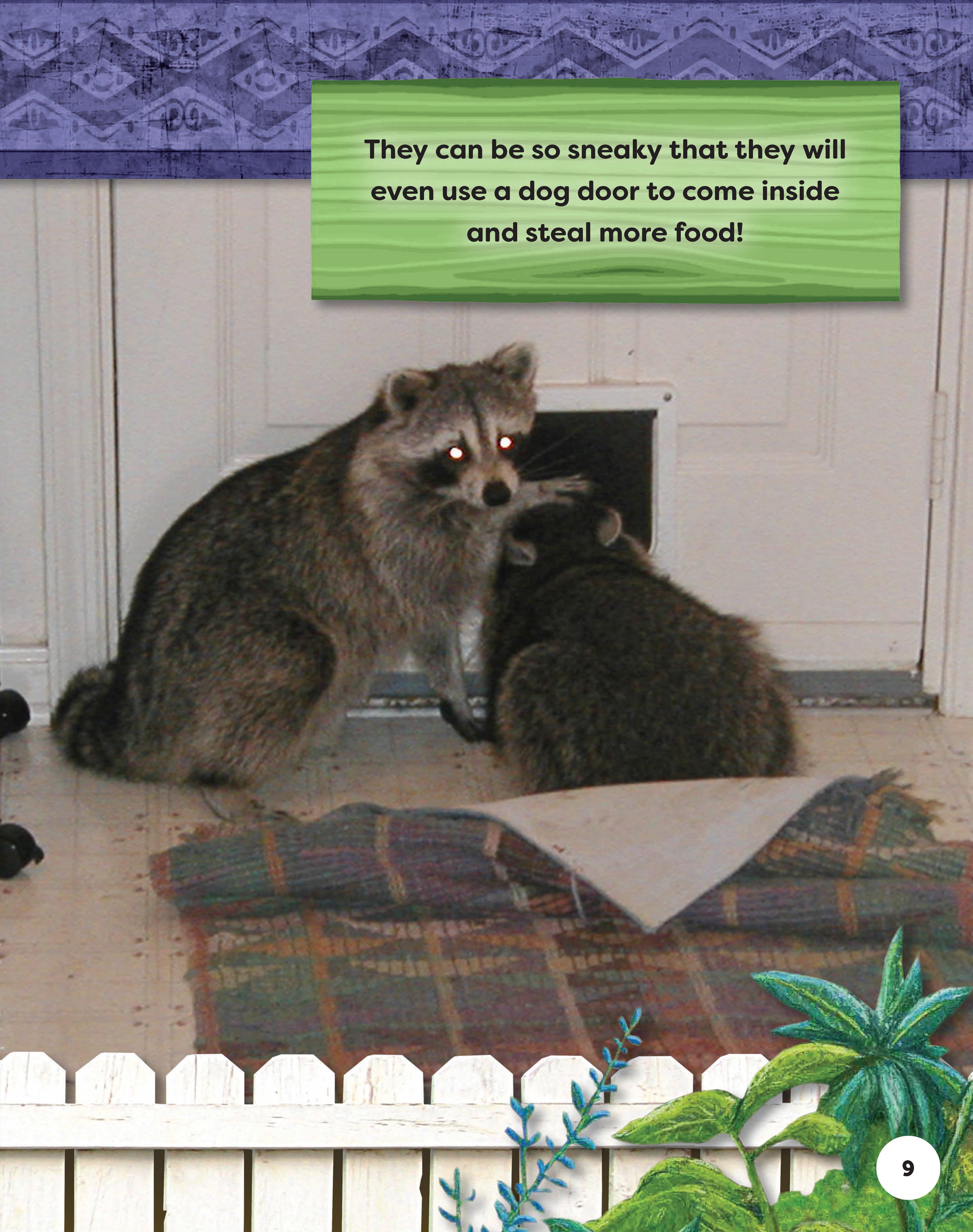 Kids' Backyard Safari: Raccoons