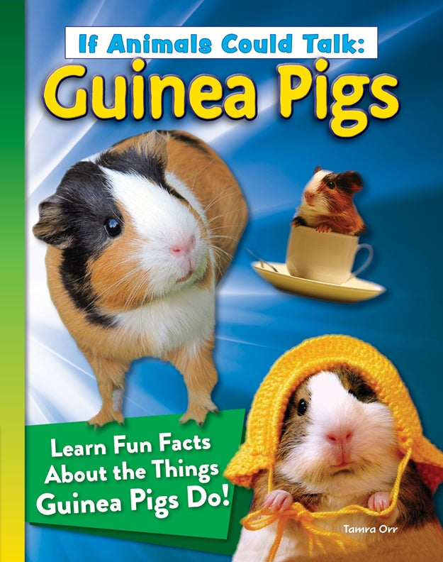 If Animals Could Talk: Guinea Pigs