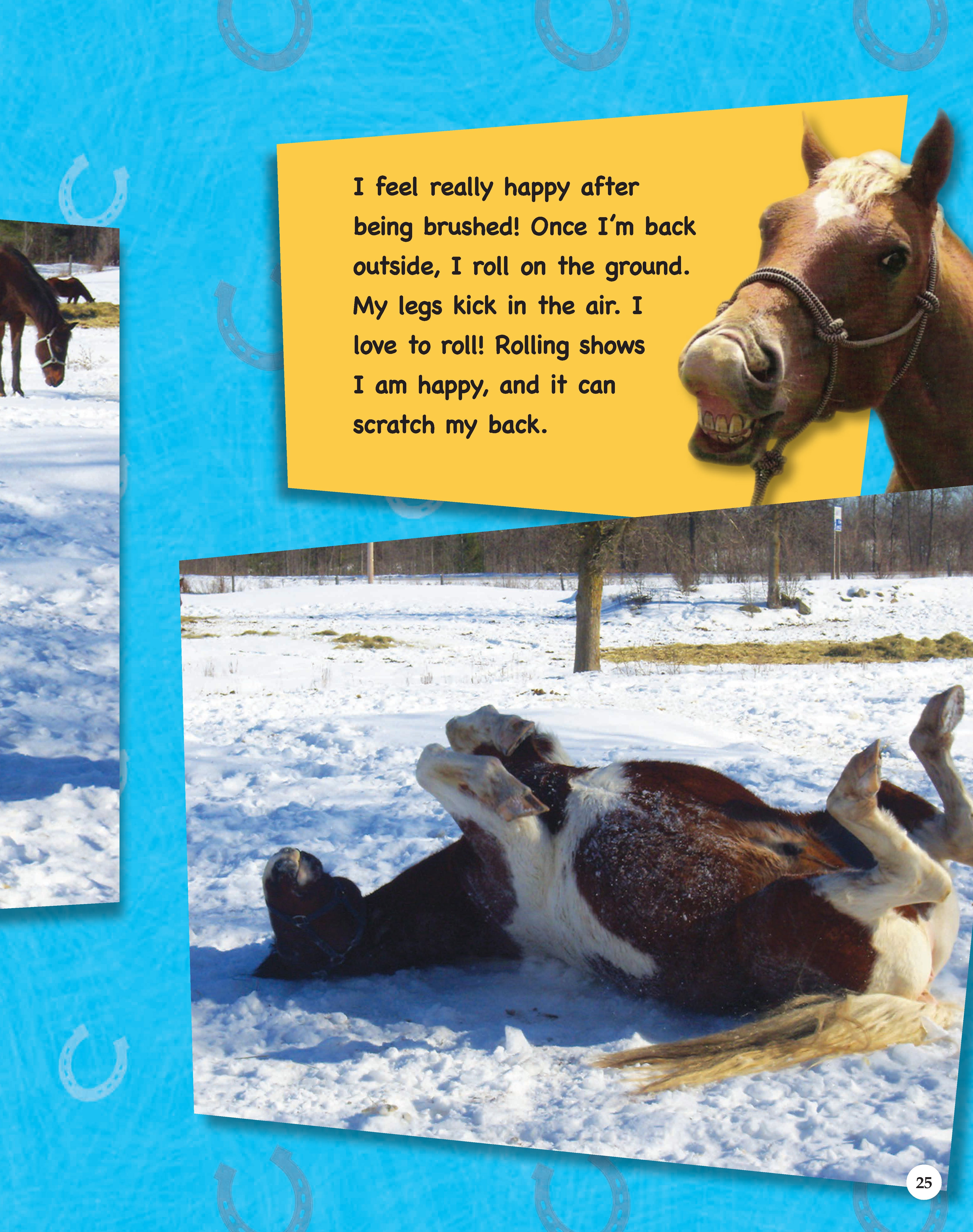 If Animals Could Talk: Horses