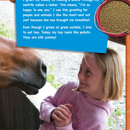 If Animals Could Talk: Horses