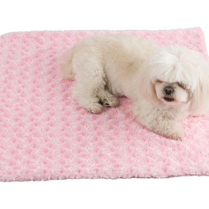 Cuddle Minky Blankets