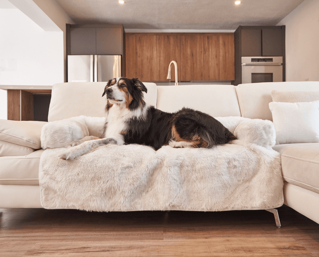 PupProtector™ Waterproof Couch Lounger - Polar White