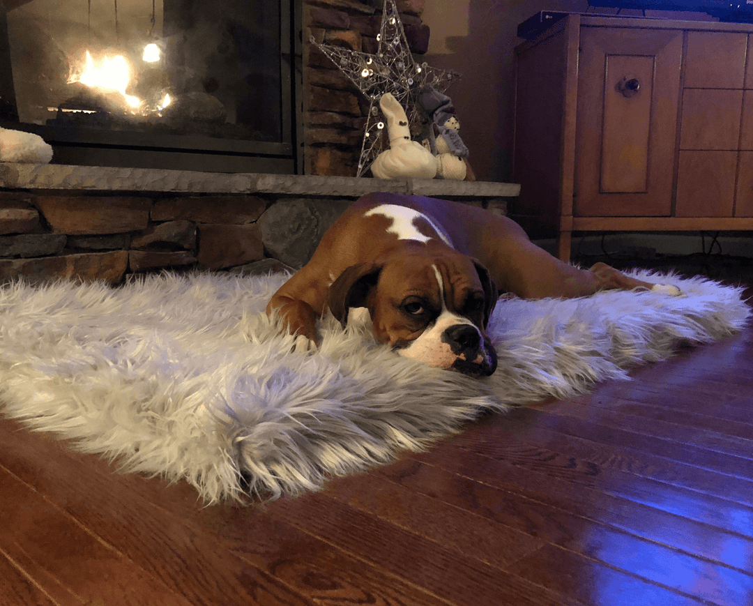 PupRug Faux Fur Orthopedic Dog Bed - Rectangle Grey