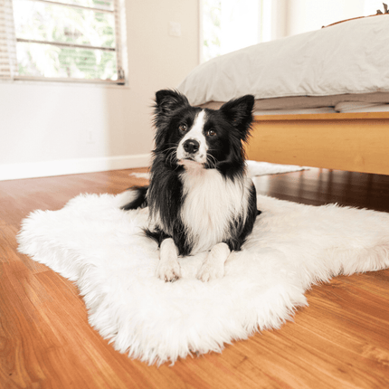 PupRug™ Animal Print Memory Foam Dog Bed - Polar Bear Faux Hide