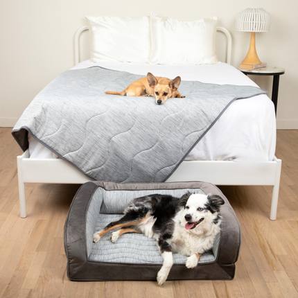 PupChill™ Cooling Bolster Dog Bed + Waterproof Blanket Bundle - Arctic Grey