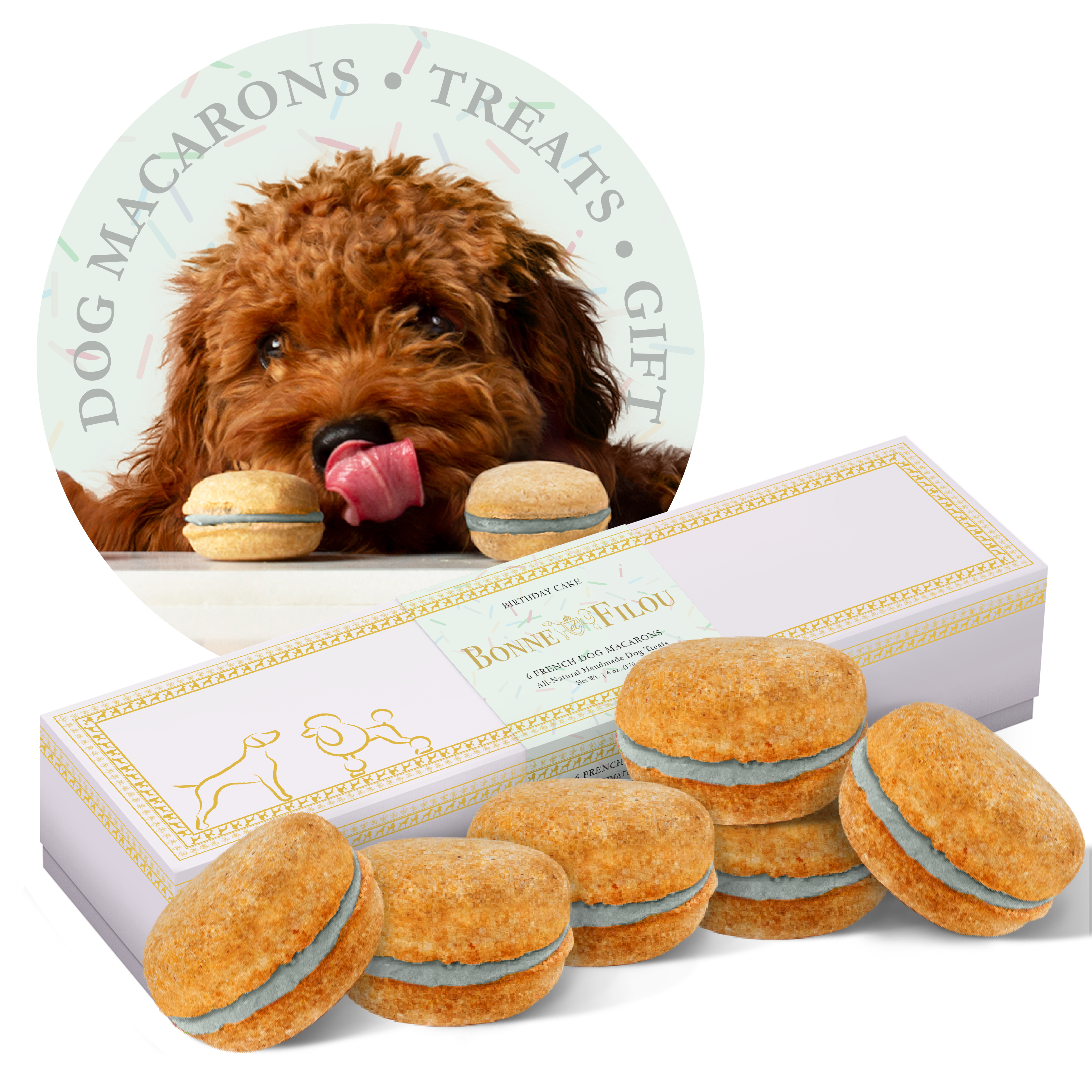 Dog Macarons (Box of 6) Birthday Cake