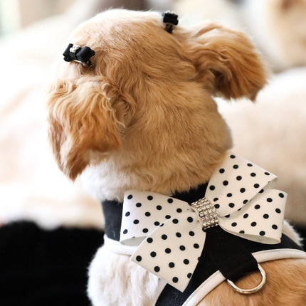 Polka Dot Nouveau Bow Tinkie Harness with White Trim