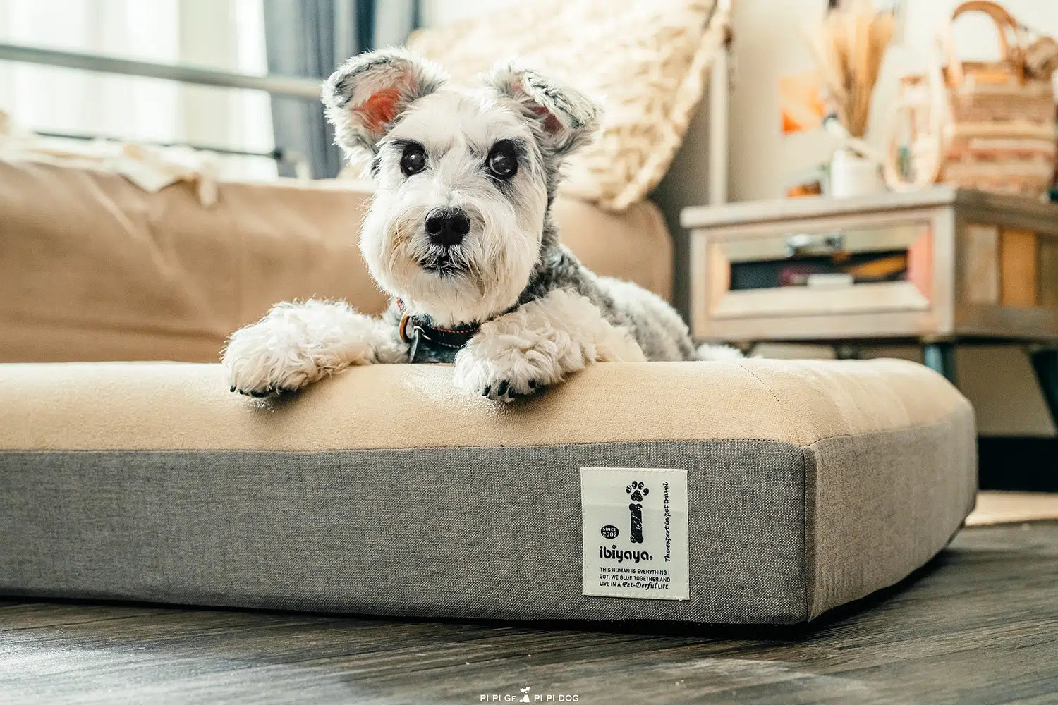 Deep Sleep Orthopedic Dog Bed