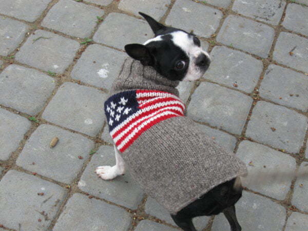 American Flag Wool Dog Sweater