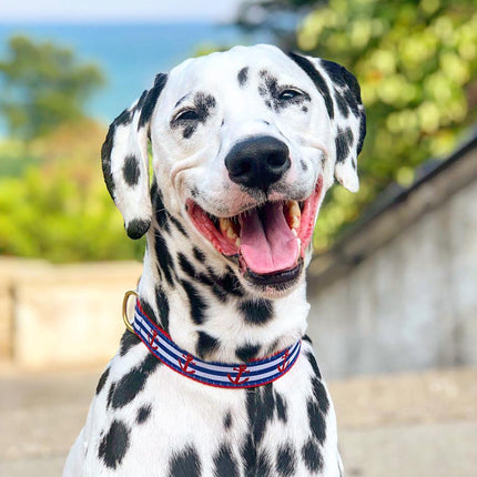 Anchors Aweigh Dog Collar