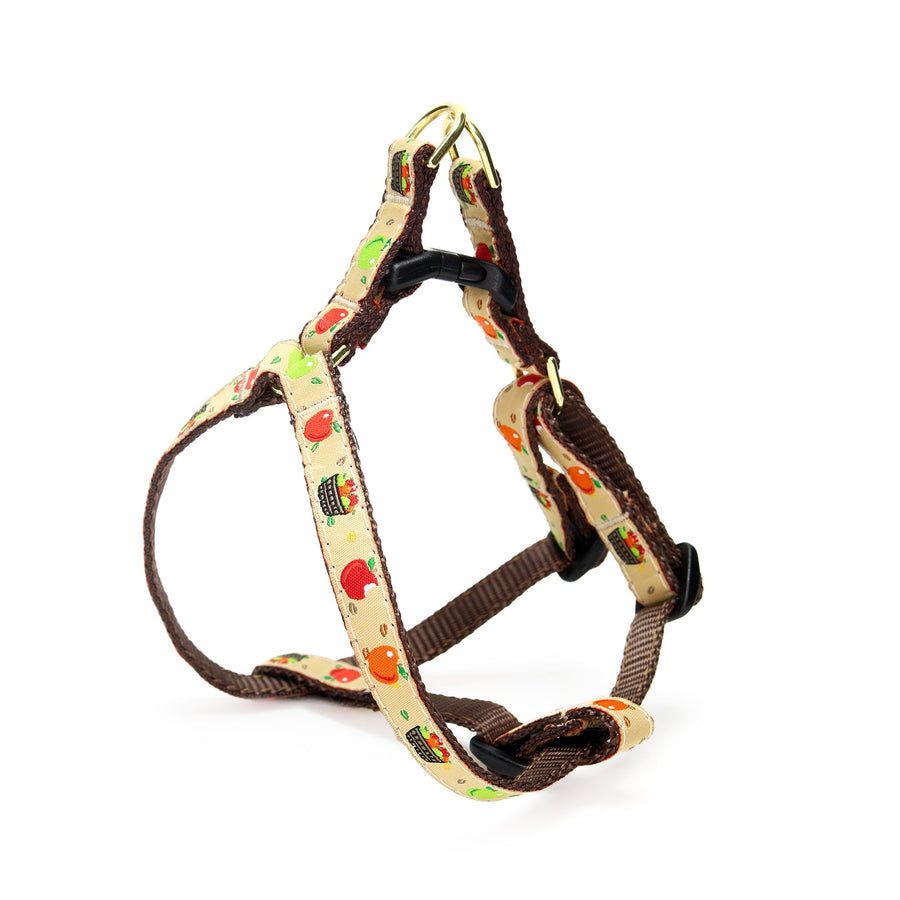 Apple of My Eye Small Breed Dog Harness