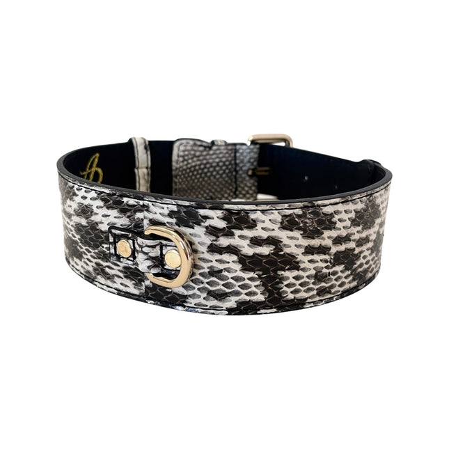 White & Black Classic Snake Collar