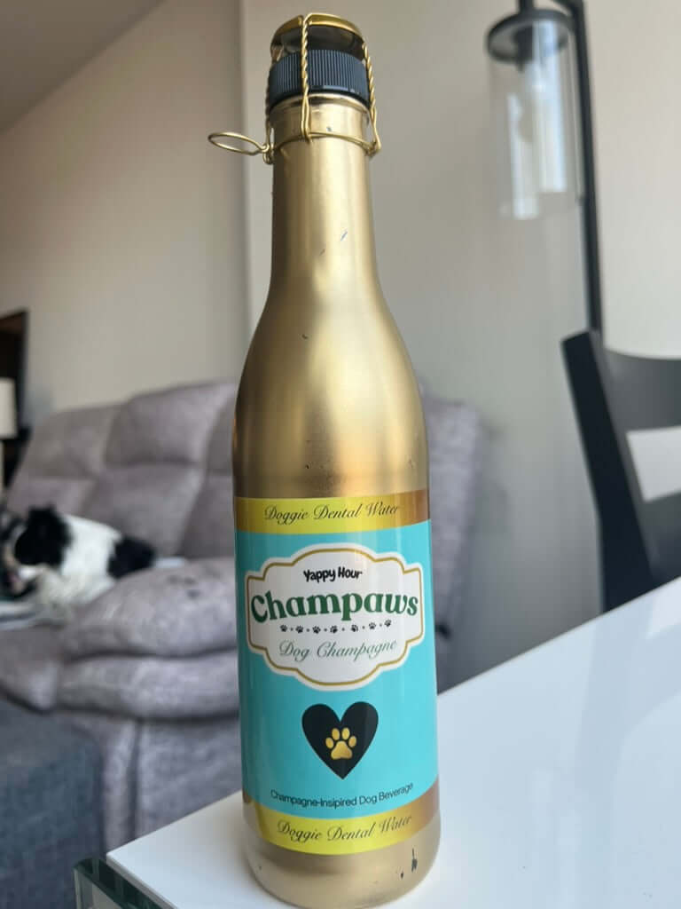 Champaws Dog Champagne | 375mL | Gold Bottle