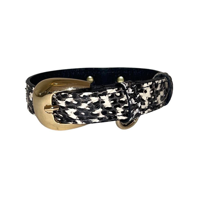 XS Black & White Snake 7”-14” Collar/Custom Gold Oval Italian